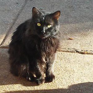 Meet your Posher, No One To You